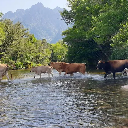 Accommodatie bij particulieren Autour Du Hamac Et Table D'hotes *