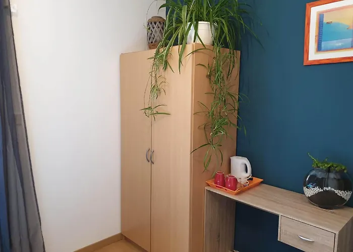 Accommodatie bij particulieren Autour Du Hamac Et Table D'hotes Moltifao