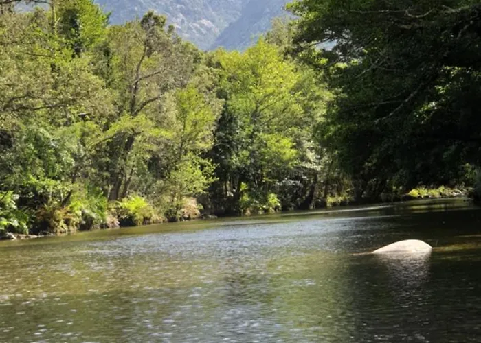 Accommodatie bij particulieren Autour Du Hamac Et Table D'hotes