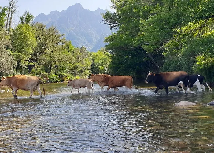 Accommodatie bij particulieren Autour Du Hamac Et Table D'hotes *