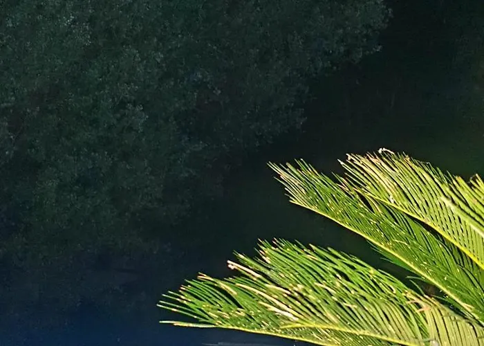 Autour Du Hamac Et Table D'hotes Accommodatie bij particulieren