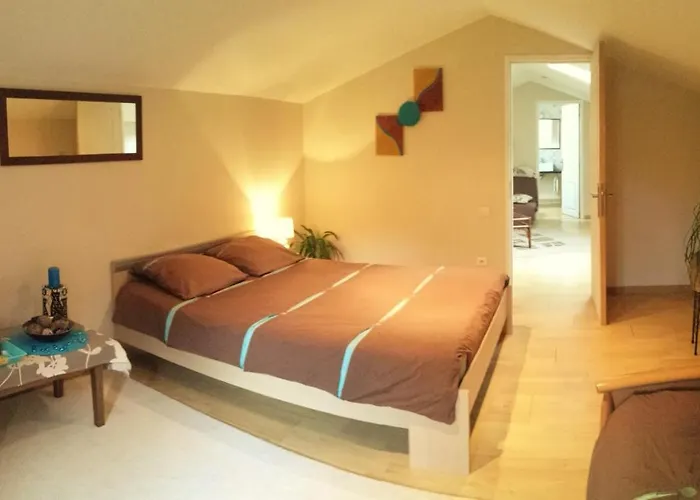 Autour Du Hamac Et Table D'hotes Moltifao