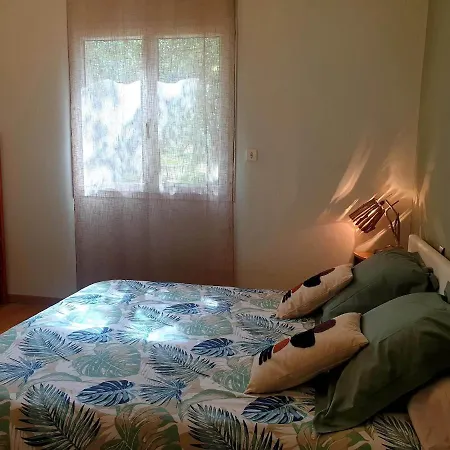 Homestay Autour Du Hamac Et Table D'hotes Moltifao