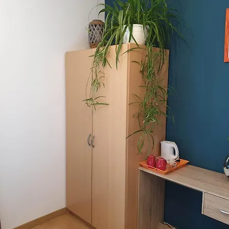 Homestay Autour Du Hamac Et Table D'hotes Moltifao