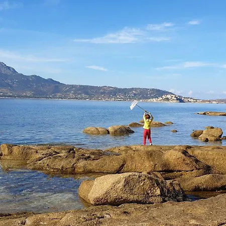 Autour Du Hamac Et Table D'hotes Homestay *