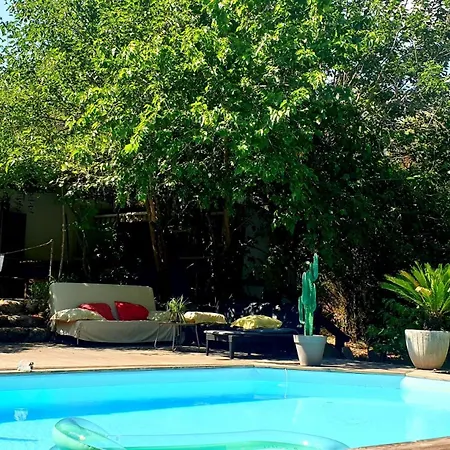 Homestay Autour Du Hamac Et Table D'hotes Moltifao