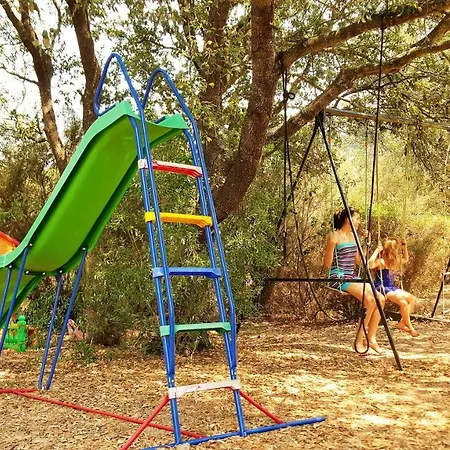 Autour Du Hamac Et Table D'hotes